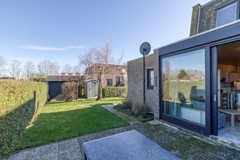 Lamsoor 3b Nieuwvliet-7.jpg